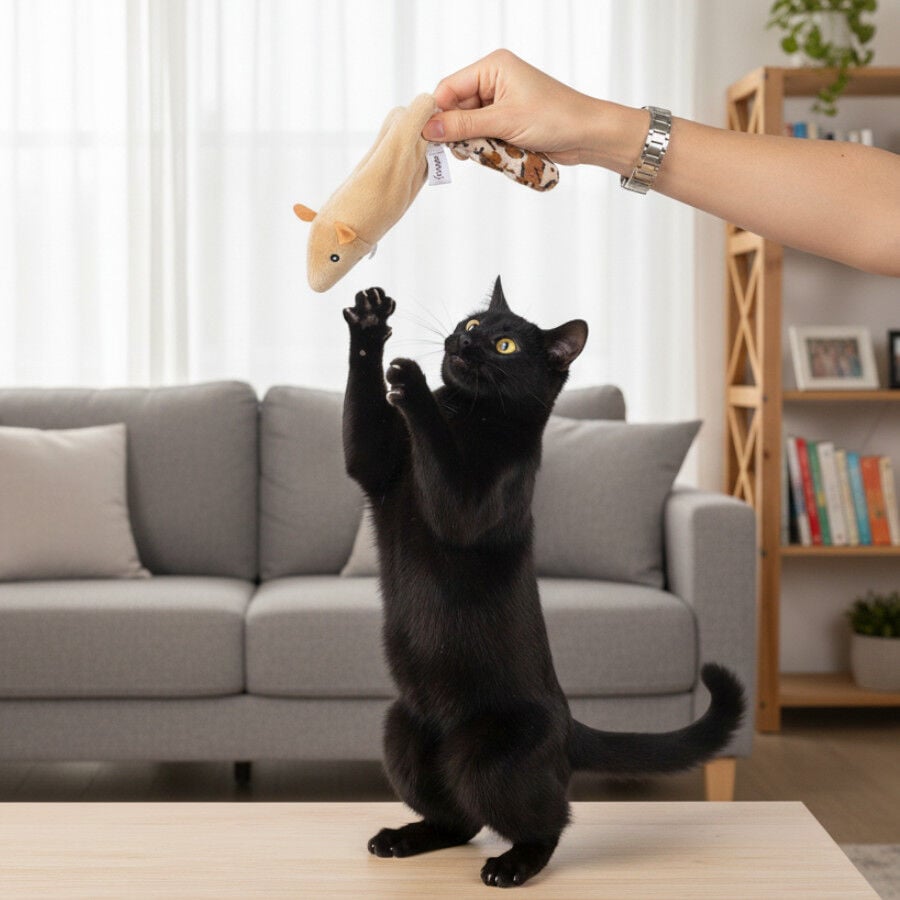 Tootoy! Juguete Interactivo Skinneeez para gatos, , large Imagen numero 1